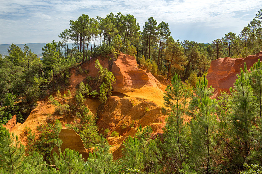 Le colorado provençale