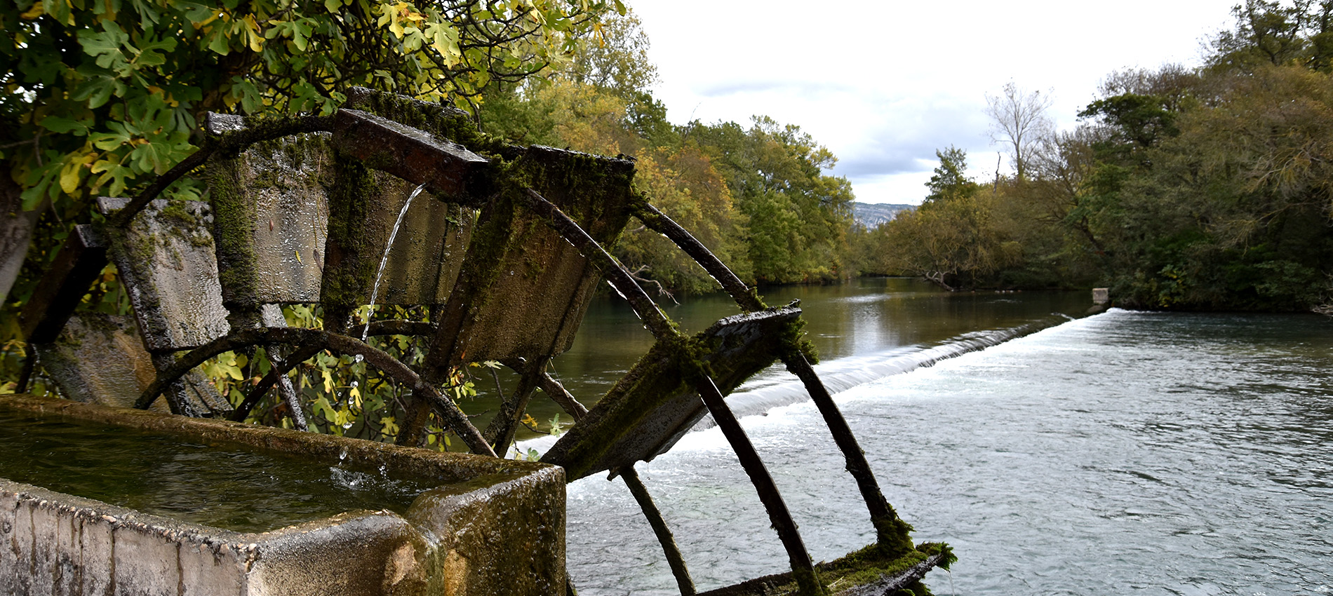 L'Isle sur Sorgue et ses roues