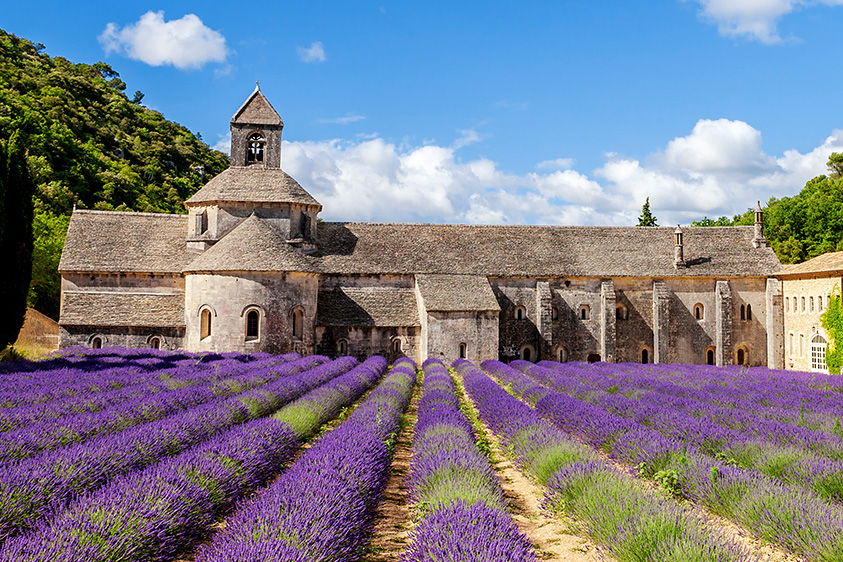 L'abbaye de Notre Dame de Senanque